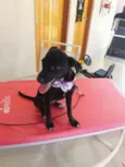 Linda