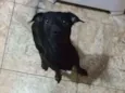 Flash