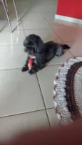 Lucky