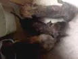 Sem nome