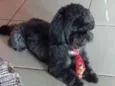 Lucky