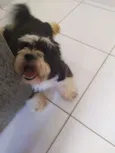 Bob