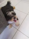 Bob