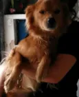 Bob