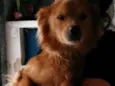 Bob
