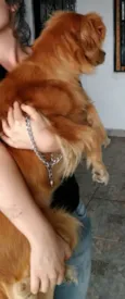 Bob