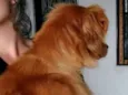 Bob