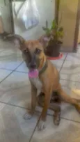 Sofia