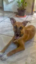 Sofia