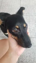 Neguinha