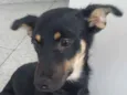 Neguinha