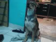 Sirius