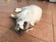 Chloe