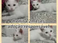 Mocinha 3