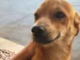 Amarelinho 