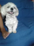 Não sei