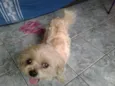 Não sei