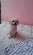 Não sei