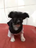 Thor e Betinho