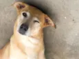 Billy