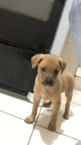 Nina