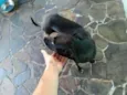 Frida