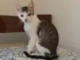 à escolher