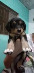 Sem nome
