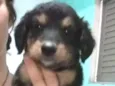 Sem nome
