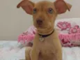 Bibi