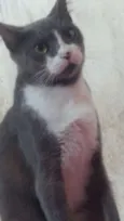 Chloe