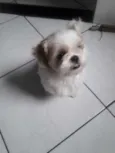 Jake