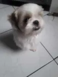 Jake