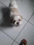 Jake