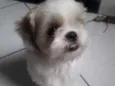 Jake