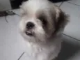 Jake