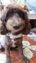 Bella
