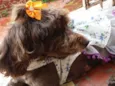 Bella