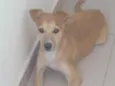 Nina