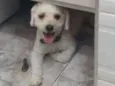 Bombeiro