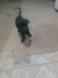 Não tem 