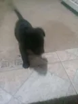 Não tem 