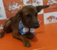 Não sabemos o nome