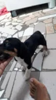 Não tem nome