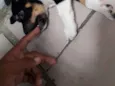 Não tem nome