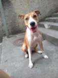 Lola