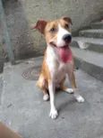 Lola