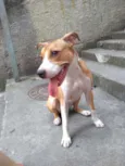 Lola