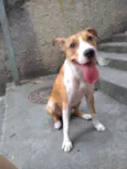 Lola
