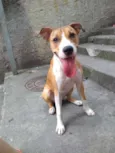 Lola